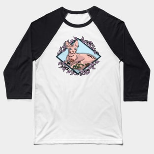 Tattooed Sphynx Cat Baseball T-Shirt